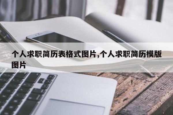 个人求职简历表格式图片,个人求职简历模版图片